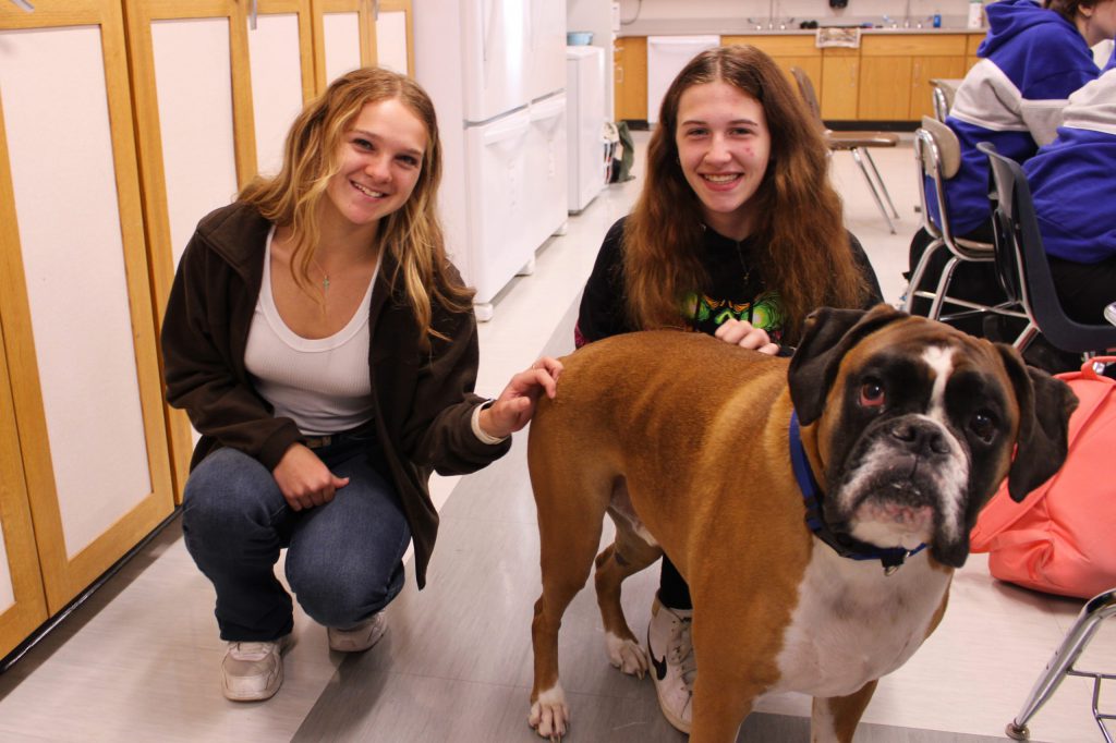 students with therapy dog