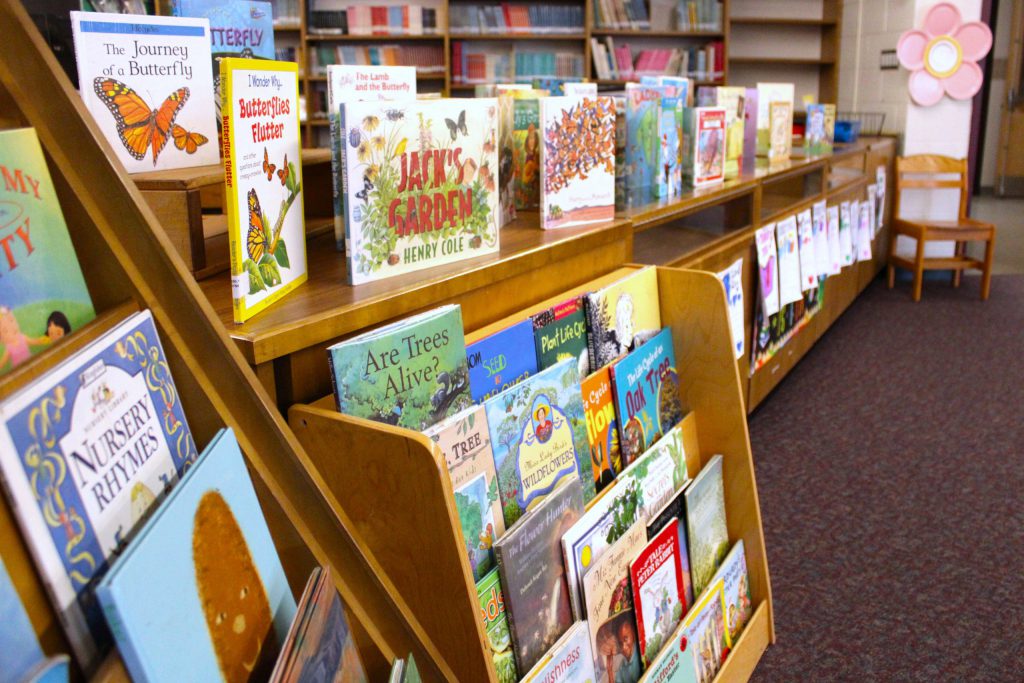 bookshelf with books
