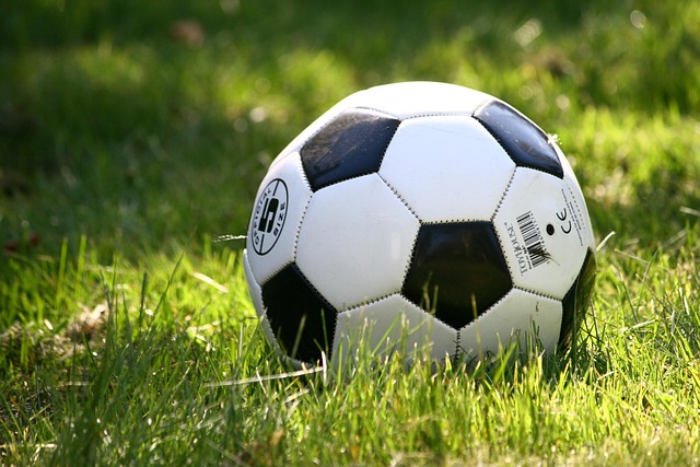 soccer ball on field